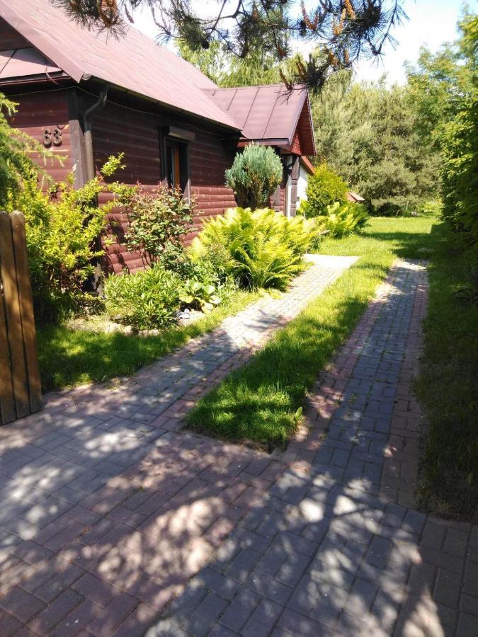 Noclegi Przy Kominku Miedzyles  Exterior photo